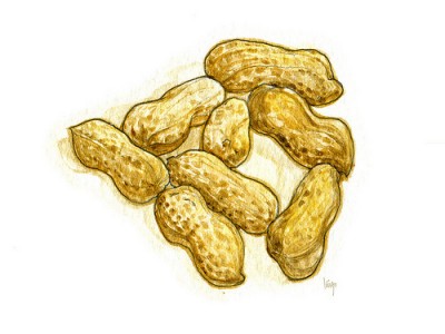 peanuts