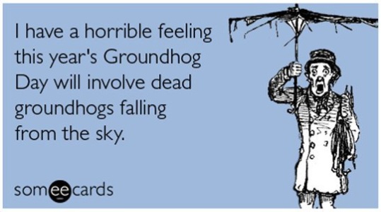 Groundhog Missed Connections