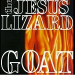 Lovelorn Poets and the Jesus Lizard