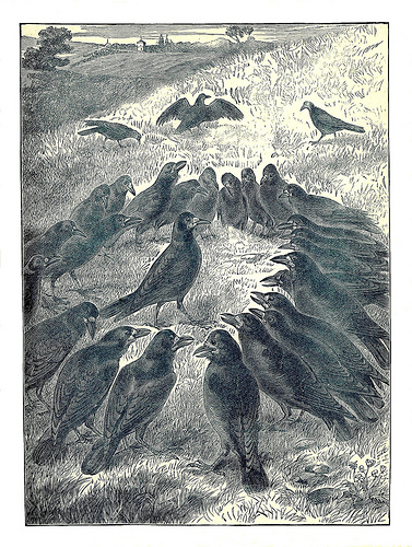 Illustration from The Children's Friend - Pictures, Stories and Verses (1886) from antefixus21