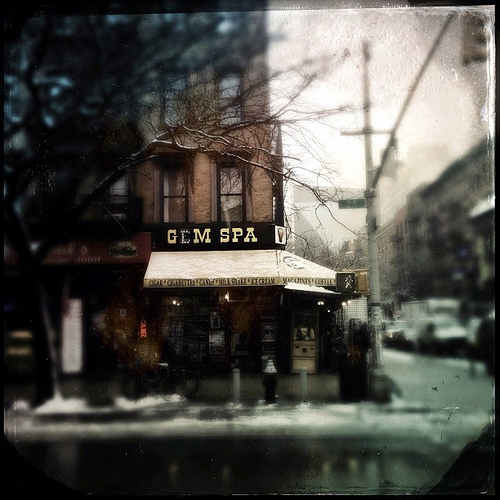 Gem Spa by Adam Lerner