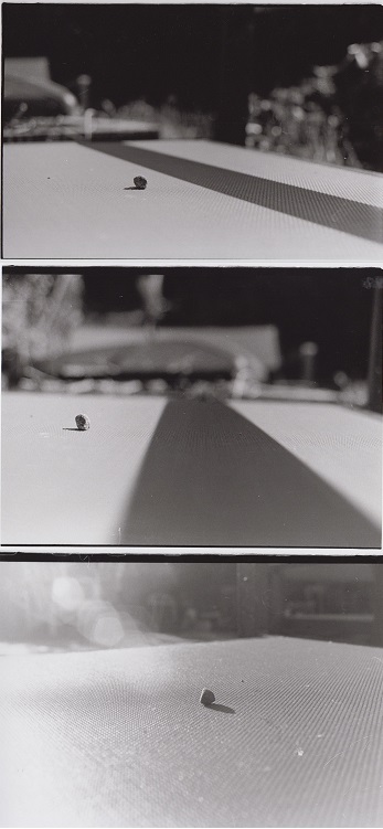 Crossing the Mississippi by Laura Zurowski