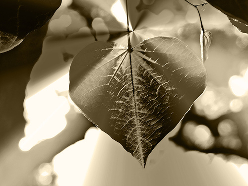 Hang My Heart Up to Dry by Jillian