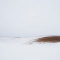 Bare Soil in a Snowy Field 2 by Jereme Rauckman