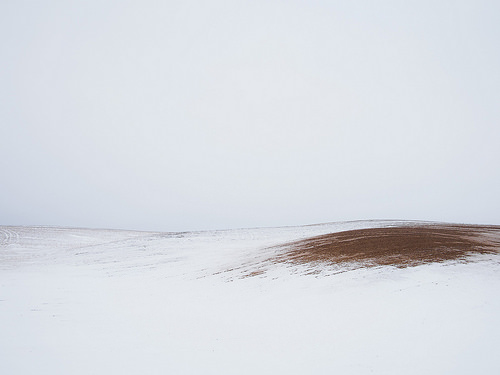 Bare Soil in a Snowy Field 2 by Jereme Rauckman