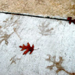 Leafprints on Footpath by Jill